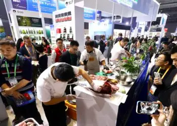 CIIE 2024: Un Escenario Ideal para las Empresas Globales que Buscan Ingresar al Mercado Chino