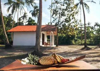 Airbnb Impulsa la Responsabilidad Fiscal de sus Anfitriones Globalmente