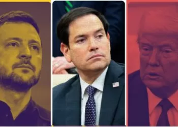 Cover de noticias Zelensky, Marco Rubio y Trump - Diario Financiero fotomontaje