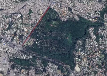 Gobierno Defiende Proyecto Vial En Jardín Botánico