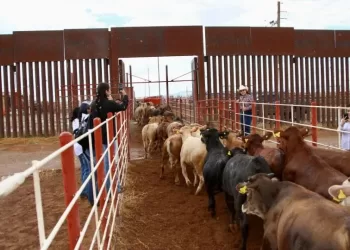 Créditos: X, Alfonso Durazo