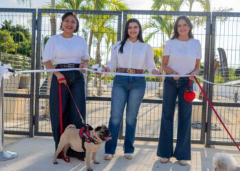 Playa Nueva Romana Inaugura The Paw Zone Pet Friendly